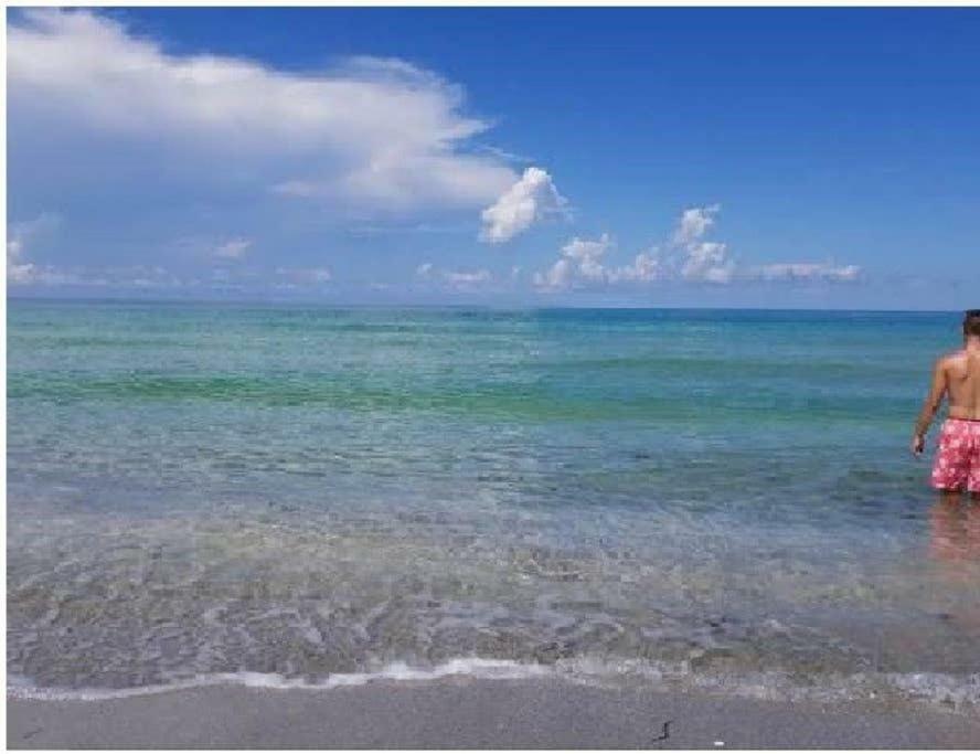 The Beach On Longboat Key Buitenkant foto